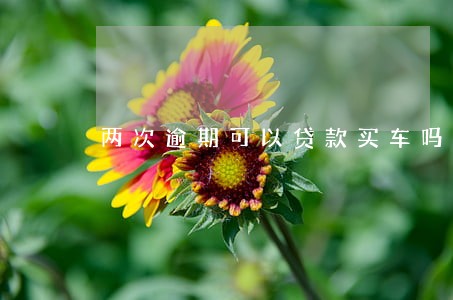 两次逾期可以贷款买车吗 两次逾期可以贷款买车吗