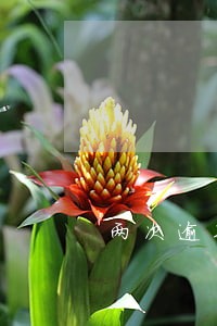 两次逾期超过90天 两次逾期超过90天