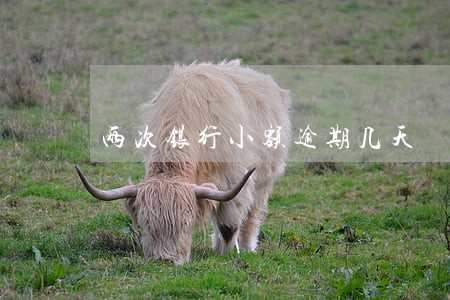两次银行小额逾期几天 两次银行小额逾期几天