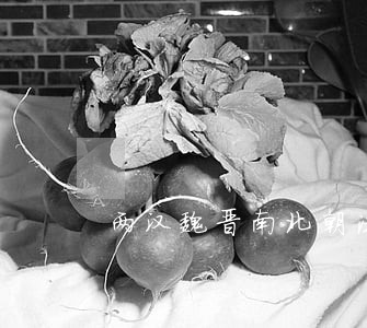 两汉魏晋南北朝法制教材 两汉魏晋南北朝法制教材