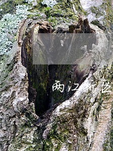 两江新区建筑工程律师哪个好 两江新区建筑工程律师哪个好