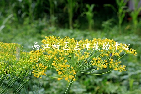两江新区法律援助中心 两江新区法律援助中心