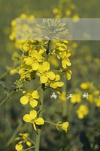两江新区离婚律师多少钱 两江新区离婚律师多少钱