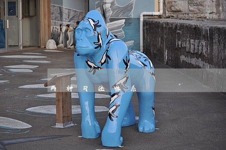 两种司法体系 两种司法体系