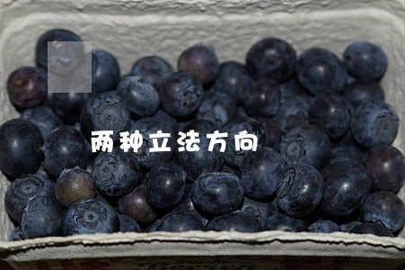 两种立法方向