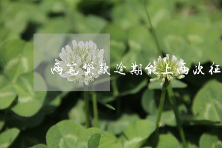 两笔贷款逾期能上两次征信吗 两笔贷款逾期能上两次征信吗