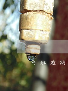 两融逾期强行平仓