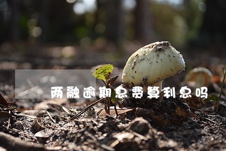两融逾期息费算利息吗 两融逾期息费算利息吗