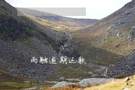 两融逾期还款 两融逾期还款