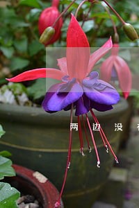 两边没有受伤有法律责任么 两边没有受伤有法律责任么