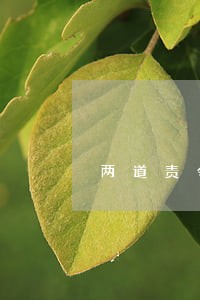 两道责令堵不住违法排放的烟囱 两道责令堵不住违法排放的烟囱
