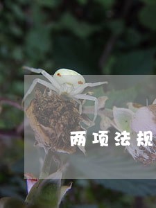 两项法规所称子女包括 两项法规所称子女包括