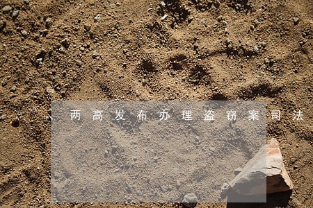 两高发布办理盗窃案司法解释 两高发布办理盗窃案司法解释