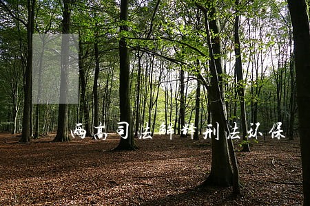 两高司法解释刑法环保 两高司法解释刑法环保