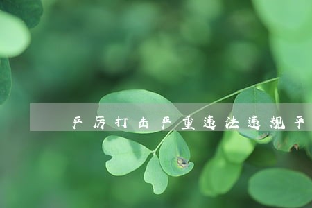 严厉打击严重违法违规平台 严厉打击严重违法违规平台