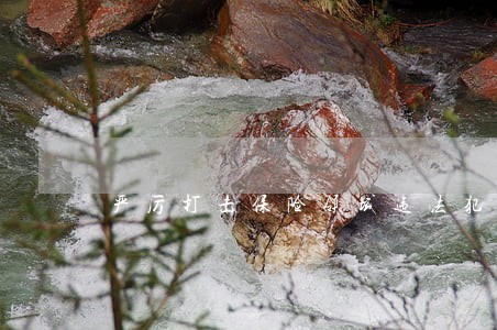 严厉打击保险领域违法犯罪行为 严厉打击保险领域违法犯罪行为