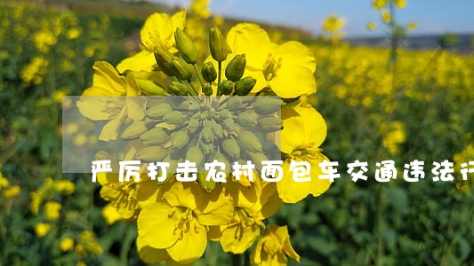 严厉打击农村面包车交通违法行为 严厉打击农村面包车交通违法行为