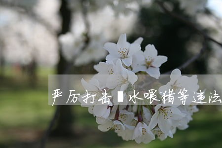 严厉打击泔水喂猪等违法犯罪行为 严厉打击泔水喂猪等违法犯罪行为