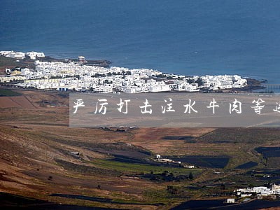 严厉打击注水牛肉等违法经营行为 严厉打击注水牛肉等违法经营行为