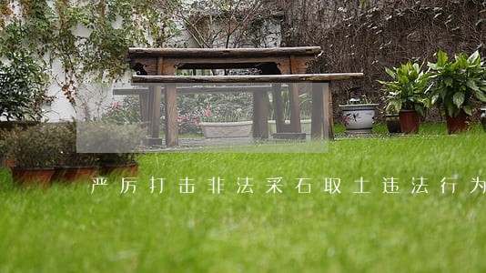 严厉打击非法采石取土违法行为