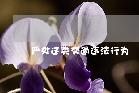 严处这类交通违法行为