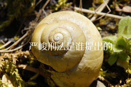 严峻刑法是谁提出的 严峻刑法是谁提出的