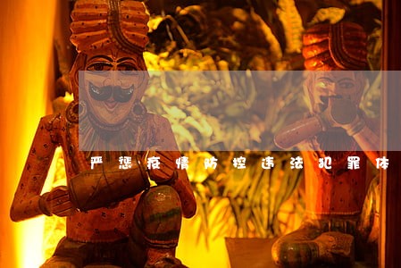 严惩疫情防控违法犯罪体会 严惩疫情防控违法犯罪体会