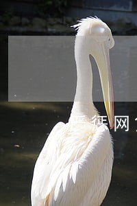 严惩网贷逾期 严惩网贷逾期