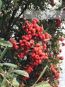 严惩网贷逾期现象 严惩网贷逾期现象