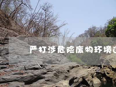 严打涉危险废物环境违法犯罪行为 严打涉危险废物环境违法犯罪行为