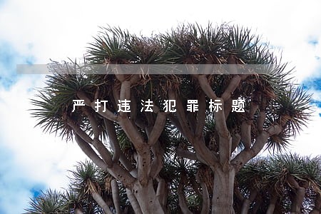 严打违法犯罪标题
