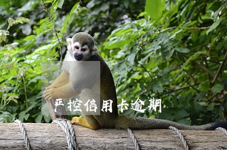 严控信用卡逾期 严控信用卡逾期