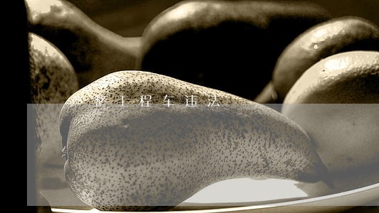 严整工程车违法 严整工程车违法