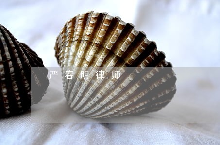 严春明律师
