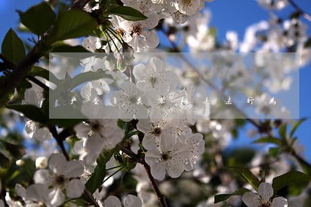 严查8类车辆违法行为 严查8类车辆违法行为