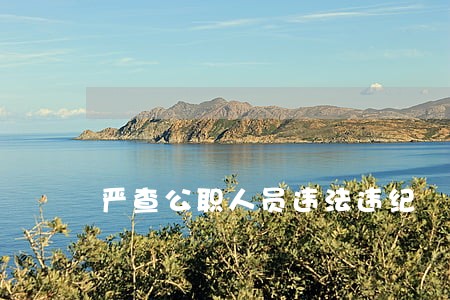 严查公职人员违法违纪 严查公职人员违法违纪