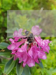 严查压占消防通道违法停车行为 严查压占消防通道违法停车行为