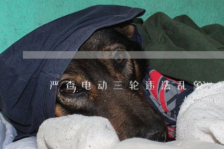 严查电动三轮违法乱象 严查电动三轮违法乱象