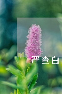 严查白马北路违法停车 严查白马北路违法停车