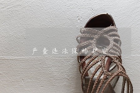 严查违法保畅护安 严查违法保畅护安