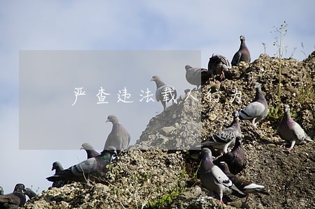 严查违法载人行为 严查违法载人行为