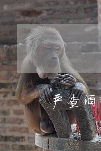 严查酒醉驾重点交通违法行为 严查酒醉驾重点交通违法行为