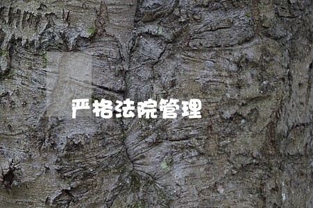 严格法院管理 严格法院管理
