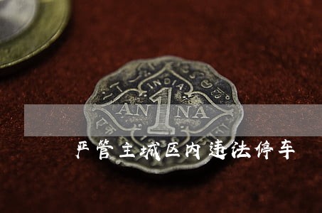 严管主城区内违法停车 严管主城区内违法停车
