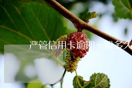 严管信用卡逾期一般多久 严管信用卡逾期一般多久