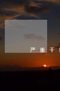严重干扰秩序 严重干扰秩序