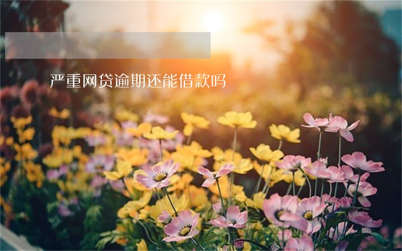 严重网贷逾期还能借款吗