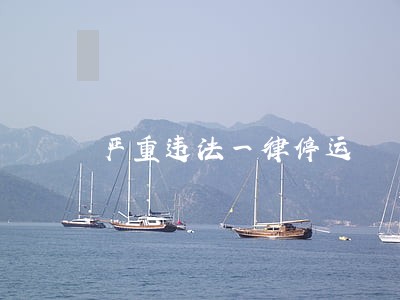 严重违法一律停运 严重违法一律停运