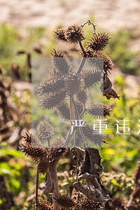 严重违法单位规章制度 严重违法单位规章制度