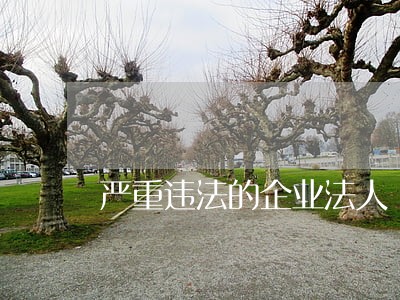 严重违法的企业法人